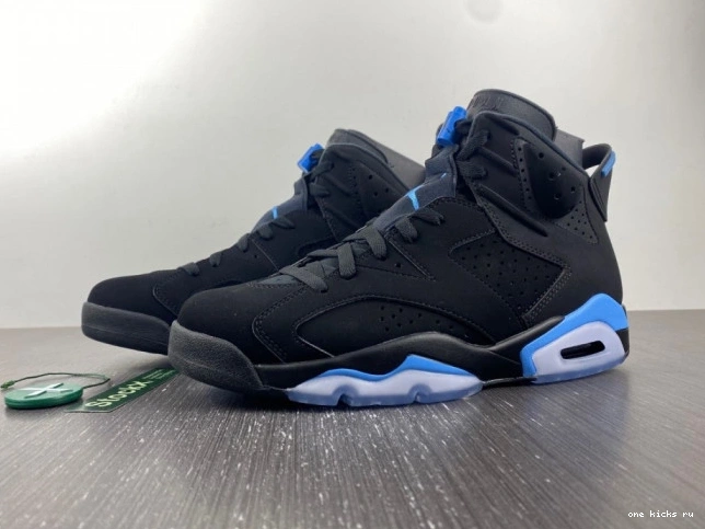 Rep Onekick RETRO 6 JORDAN UNC 384664-006 0719